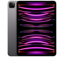 Apple iPad