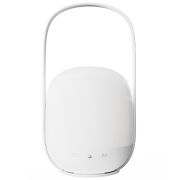 Фонарь кемпинговый Hydsto Colorful Camping Light with Remote Control (YC-YDD01)