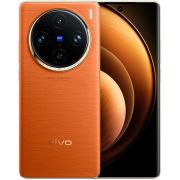 VIVO X100 Pro 16/512Gb