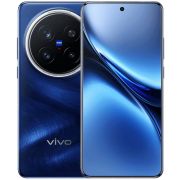 VIVO X200 Pro 12/256Gb