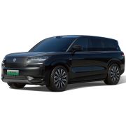 Denza N9 2025